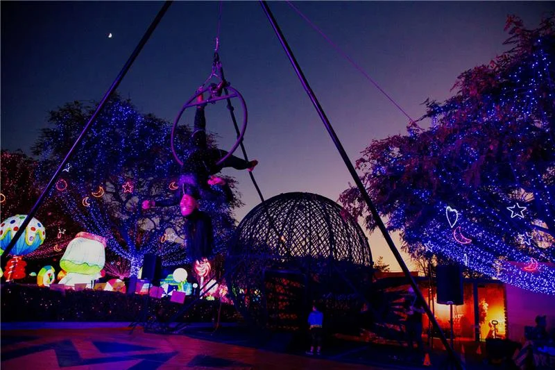 Free Entertainment Included