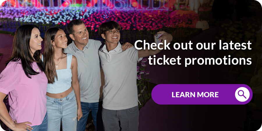 Imaginarium-Promos-Discounts-Event-Pages.