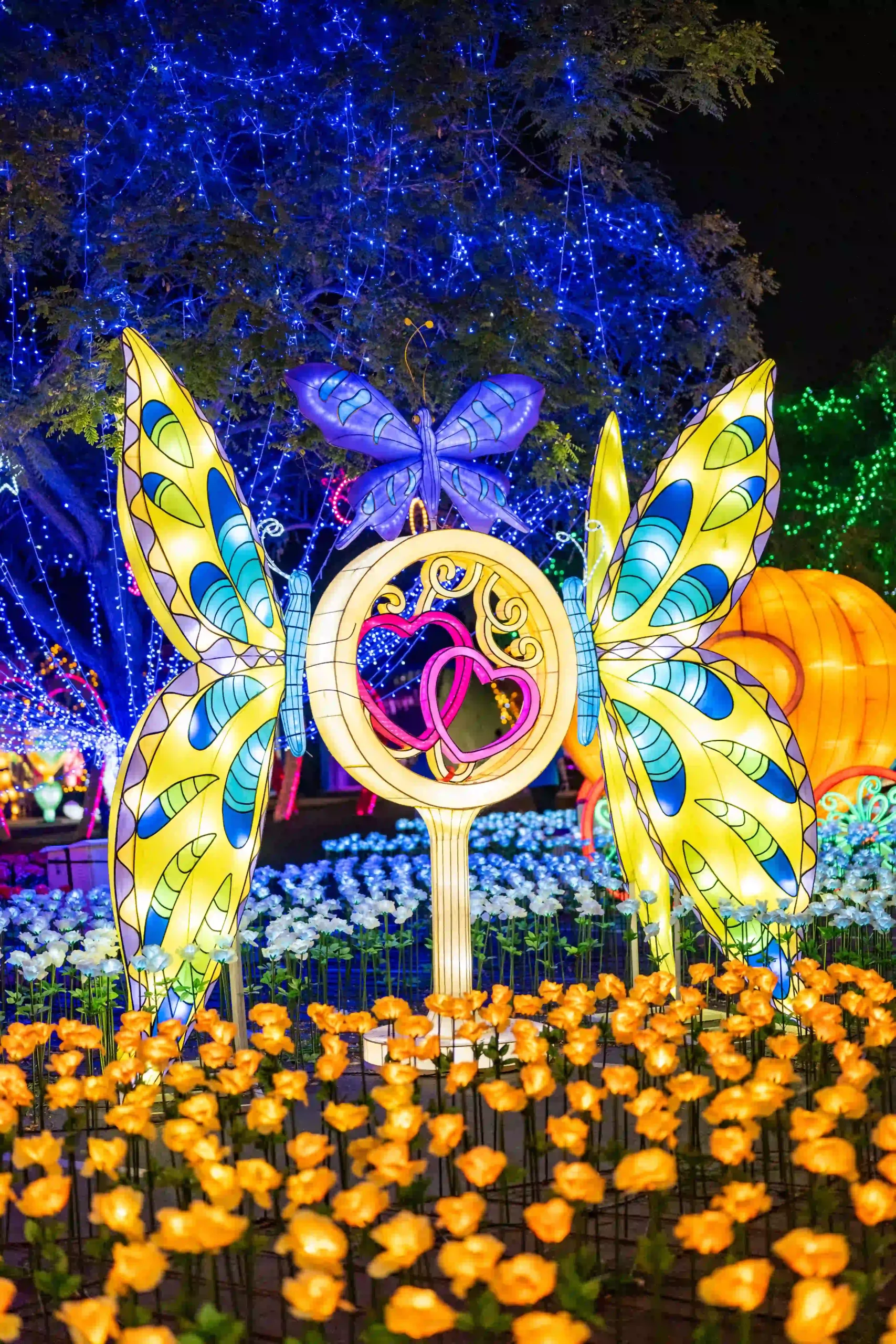 Butterfly Circle of Love