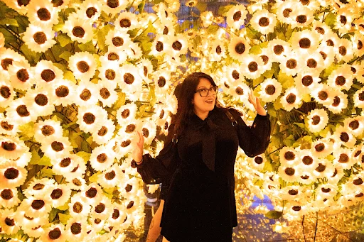 Sunflower Mirror Reflections