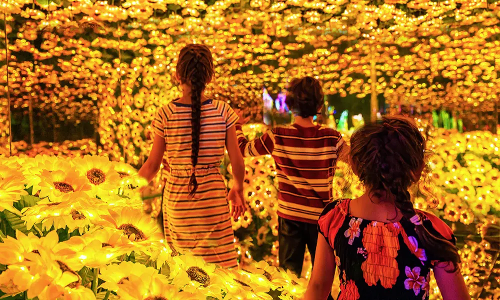 Step Into the Infinity of Lights