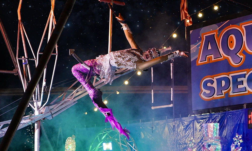 Dazzling Circus Shows