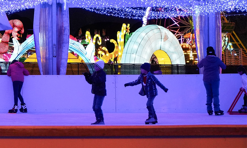 Glide Into a Winter Wonderland