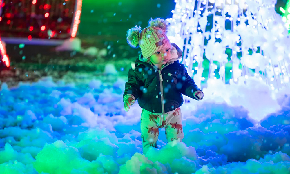 Wander Through a Frosty Fantasy