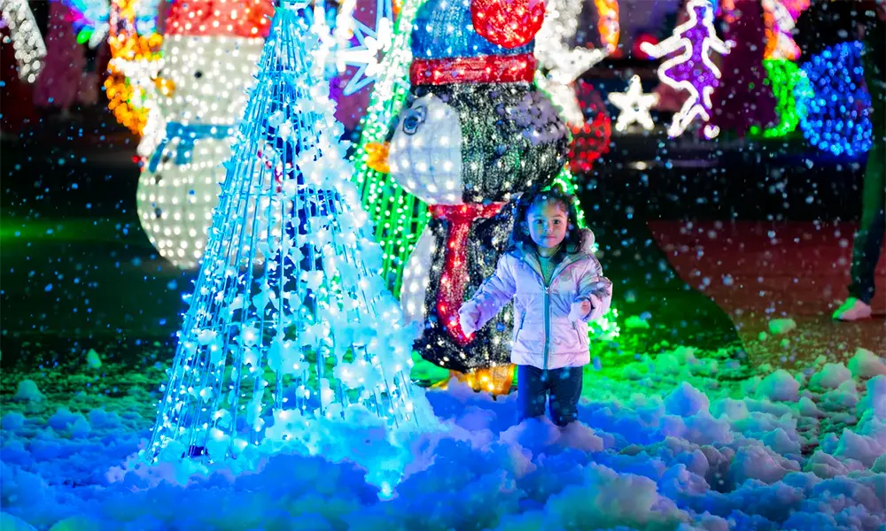 Wander Through a Frosty Fantasy