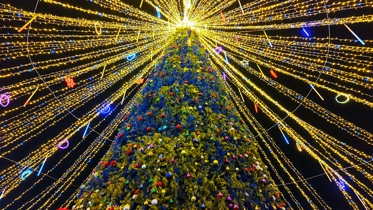 Christmas Tree