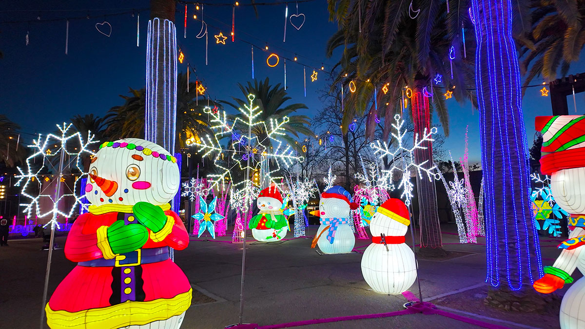 Snowmen Lights and Snowflakes