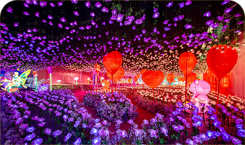 Thursday Friends Night Special – 4 Pack (Dessert Included)