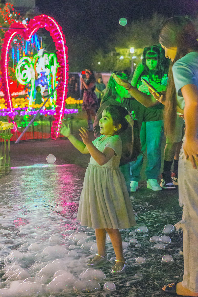 Magical Moments for Families