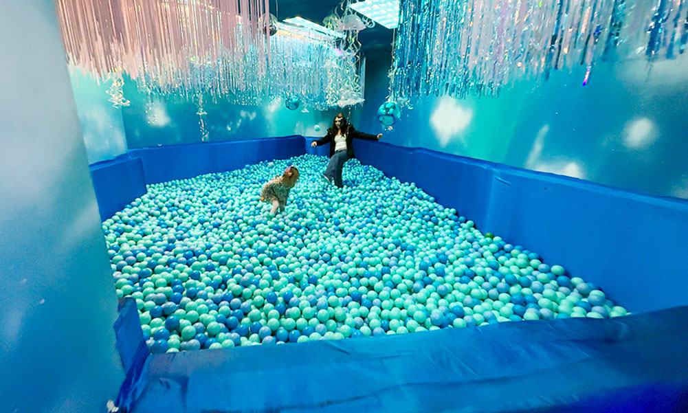 DIVE INTO THE ACTION