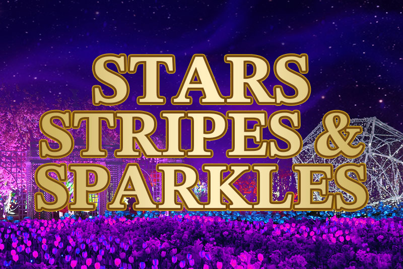 Imaginarium Lakewood Stars Stripes & Sparkles